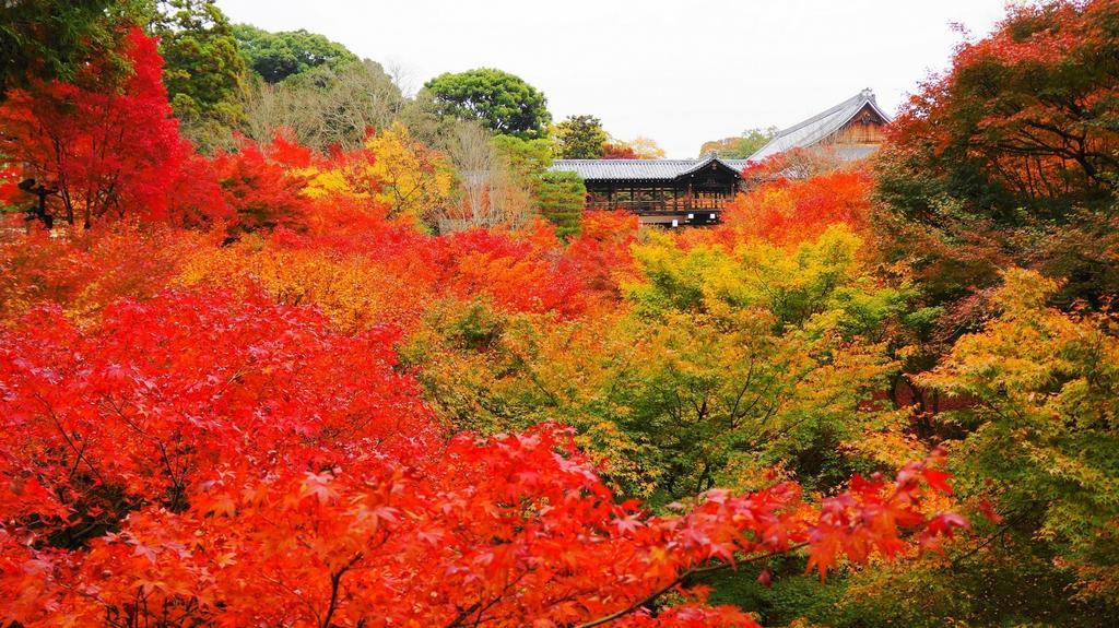 Casa de férias Fushimi Kikyo-tei *